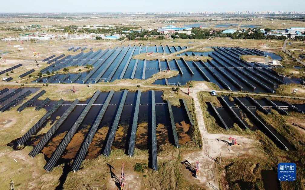 禅游游戏捕鱼